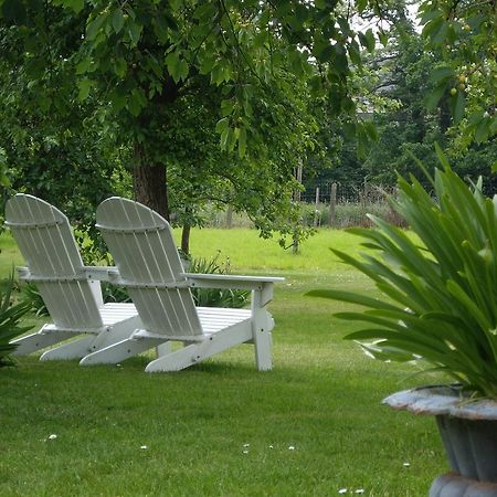 B&B Schoon Goed Gingelom Exteriér fotografie