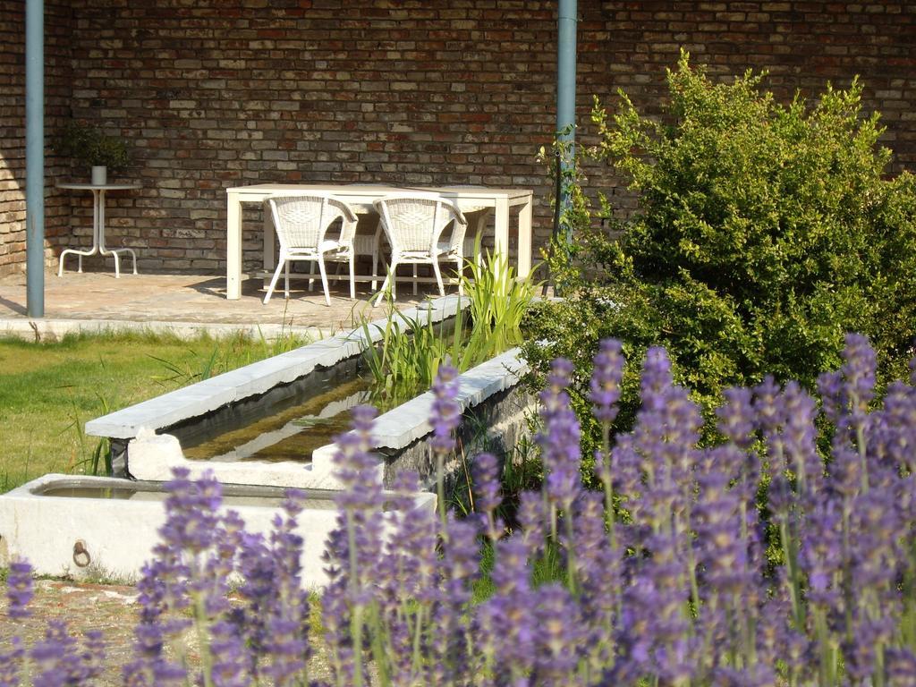 B&B Schoon Goed Gingelom Exteriér fotografie