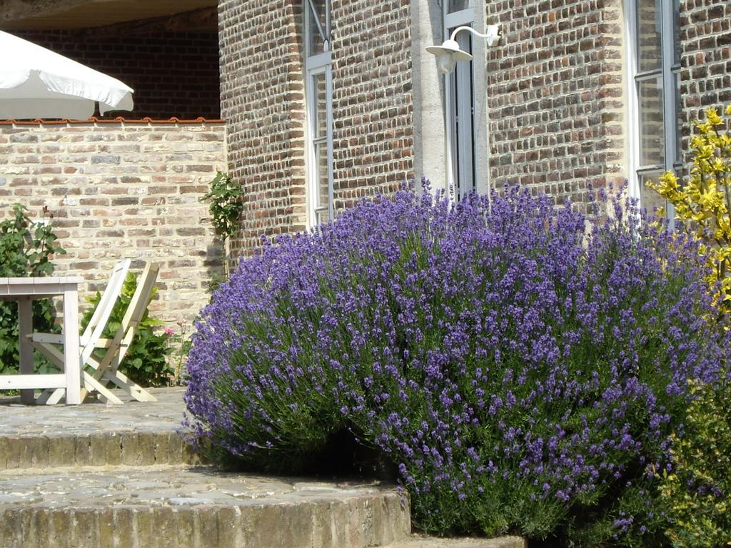 B&B Schoon Goed Gingelom Exteriér fotografie