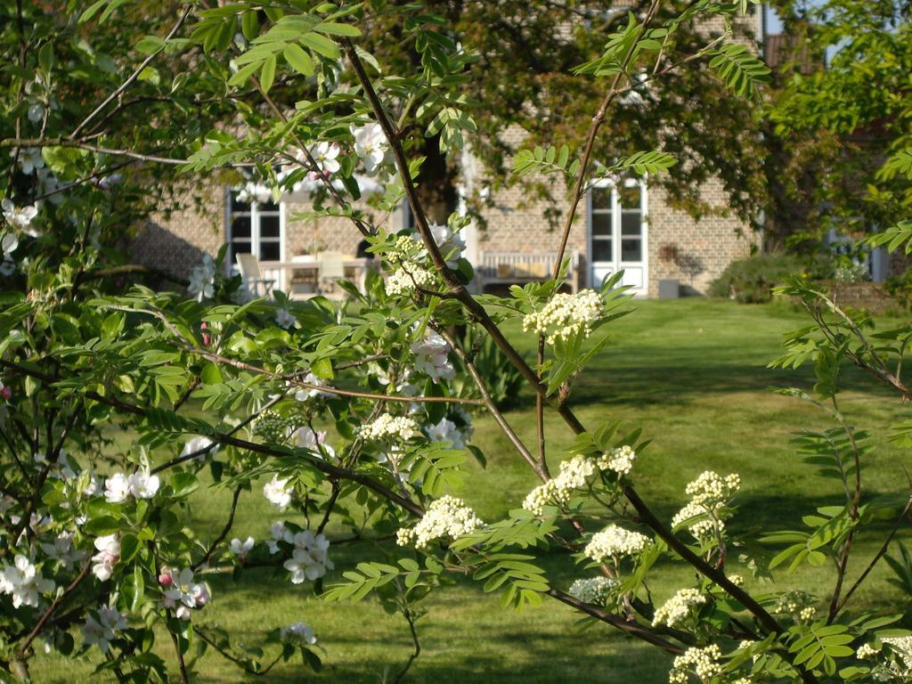 B&B Schoon Goed Gingelom Exteriér fotografie